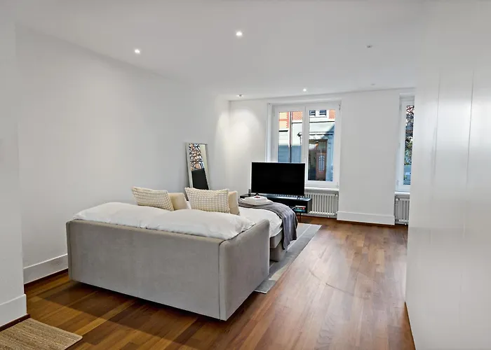 דירה Newly Renovated Next To With Private Terrace ציריך